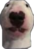 walter